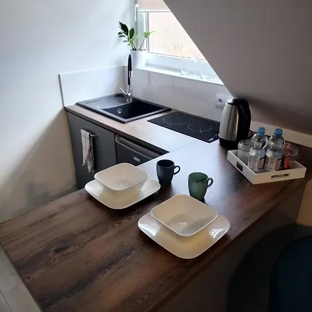 Apartamenty Lesna Osiem Jezow Sudecki Room photo